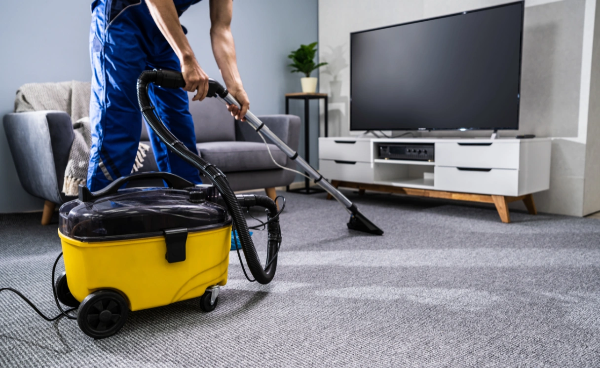 Extract Upholstery Cleaning Magpie Contact Office